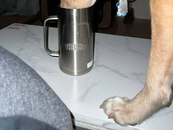 夜中にカチャカチャ音がする…　何事かと思いきや？　「笑った」「うちもよくやられる」