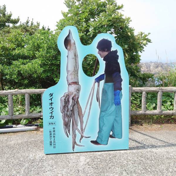 観光地で目にした『顔ハメ看板』　謎の状況に「どんな顔すればいいんだ？」