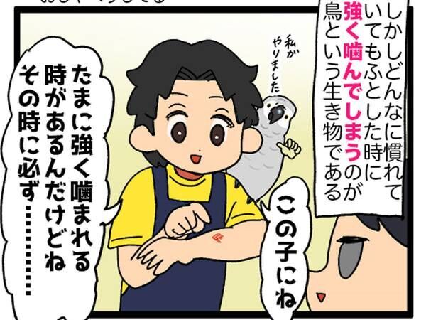 小学生みたいなことをするヨウム　店長を噛む時に『ひと声』！