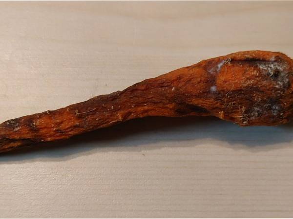 冷蔵庫に入れたままだったニンジンの姿に「一周回って漢方薬に？」