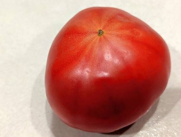 特別なことは一切なし　トマトを長持ちさせる、目からウロコの保存方法