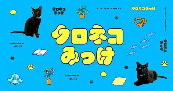 ヤマト運輸がウェブサイト『クロネコみっけ』をオープン！　猫が楽しめるコンテンツもあって？