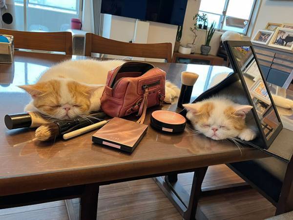 「仕事を休むか、すっぴんで行くか…」　女性が悩んだ理由がこちら