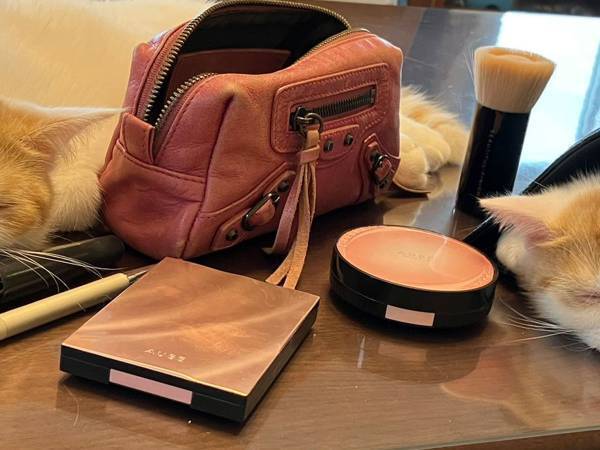 「仕事を休むか、すっぴんで行くか…」　女性が悩んだ理由がこちら