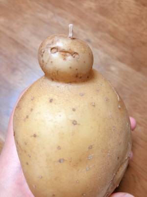 ジャガイモの特徴的な形に「まさか現実世界に来てくれるなんて」