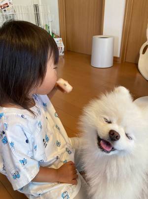 犬に見守られながら、『ガリガリ君』を初めて食べた３歳　棒を見たら？