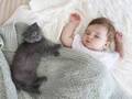 １２３万回再生！　赤ちゃんと子猫の動画に「なんて優しいの！」「かわいい」
