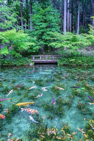 「まるで絵画のように美しかった」　１枚の写真に「なんて幻想的」「見惚れた」