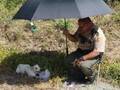 優しすぎる！　猛暑の中、ケガをした野良犬を保護した警察官　その数日後？