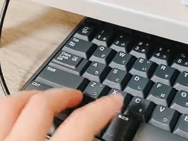 キーボードと机のすき間に住みついていた生き物に「トリトリパニックだ」