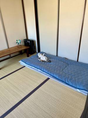 「Nクールを買った途端、毎朝これですわ」　布団が片付けられない理由とは