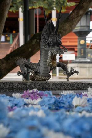 まるで大喜利…！　１枚の写真に添えられた言葉に、吹き出す