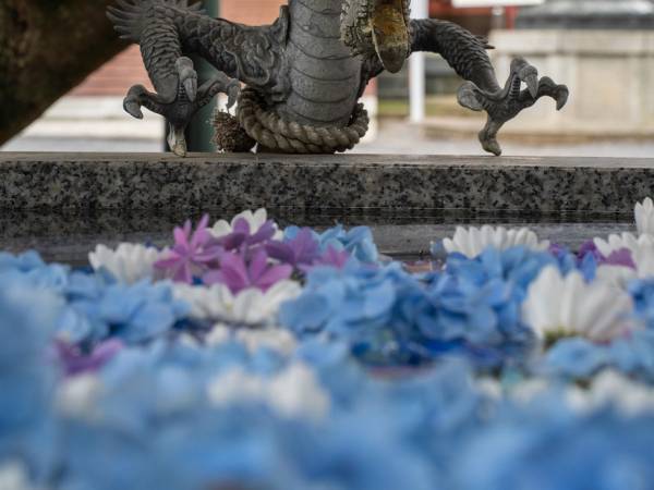 まるで大喜利…！　１枚の写真に添えられた言葉に、吹き出す