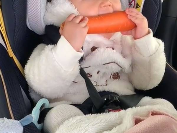 「おでかけに持って行く」　娘がご満悦でかじるモノに困惑が止まらない