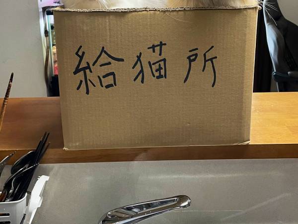 料理をする妻に夫が？　「マラソン大会でも置いてほしい」