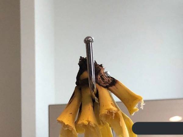 スタンドにかけていたバナナ　熟した光景に「豪快」「完熟してる」