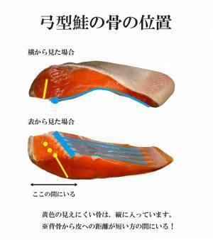 鮭の切り身を選ぶのが楽に！　『形』によって、味わいが違う