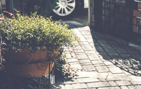 人生の学びのきっかけは、自分のすぐ近くにあるかもしれない