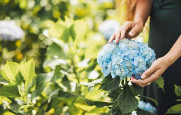 人生の学びのきっかけは、自分のすぐ近くにあるかもしれない