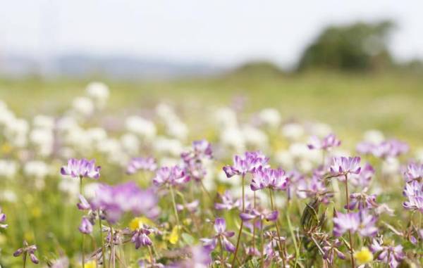 人生の学びのきっかけは、自分のすぐ近くにあるかもしれない
