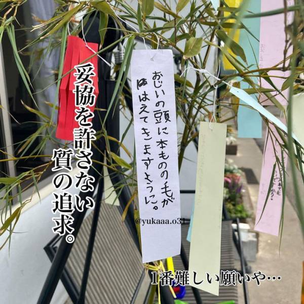 「願い事のクセが強い…」　家族みんなで、七夕の短冊を書くと？　内容に抱腹絶倒