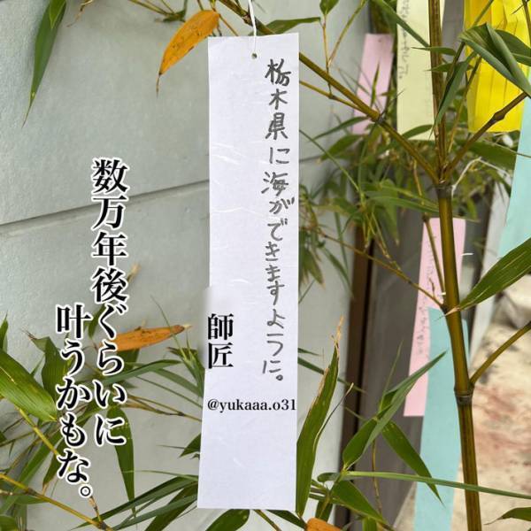 「願い事のクセが強い…」　家族みんなで、七夕の短冊を書くと？　内容に抱腹絶倒