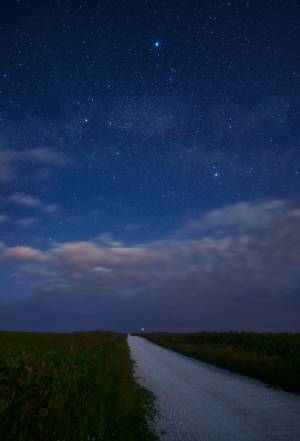 「織姫と彦星がハッキリ見える」　２０２２年の『七夕の夜空』が、コチラ