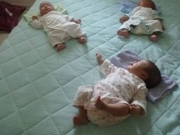 カーテンを目で追っちゃう…　三つ子の写真に「幸せで平和な空間」「心地よさそう」