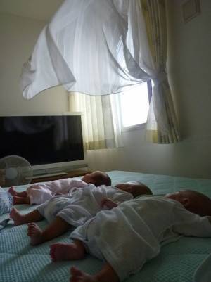 カーテンを目で追っちゃう…　三つ子の写真に「幸せで平和な空間」「心地よさそう」