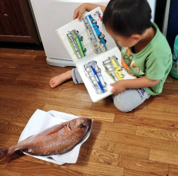 絵本の読み聞かせをする長男　写真を引きで見ると…まさかの『相手』に「かわいすぎる」