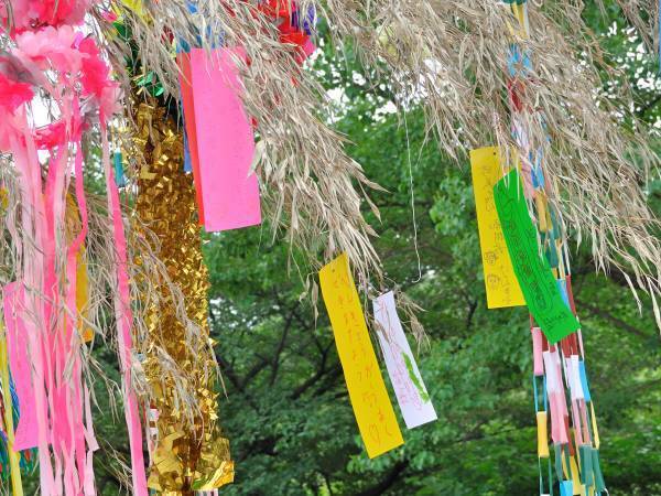 父親が七夕に知った『息子の想い』　短冊の内容に「一瞬で涙腺崩壊した」