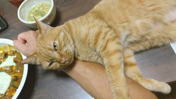 左手でカレーを食べる『右利き』の夫　理由に納得！