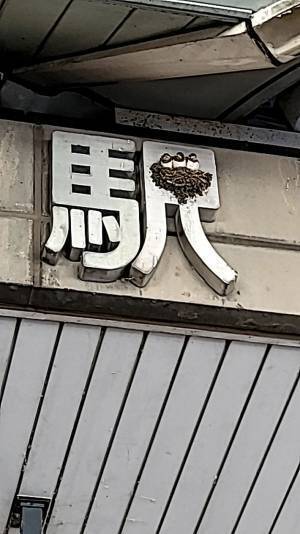 『駅』に作られたツバメの巣　ピッタリすぎて「高崎駅のロゴはこれにしよう」