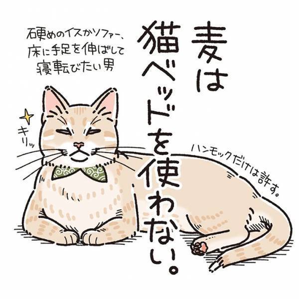 猫用ベッドで眠らない猫　理由が『猫飼いあるある』だった