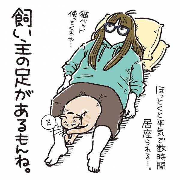 猫用ベッドで眠らない猫　理由が『猫飼いあるある』だった