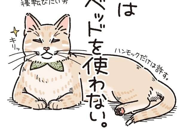 猫用ベッドで眠らない猫　理由が『猫飼いあるある』だった