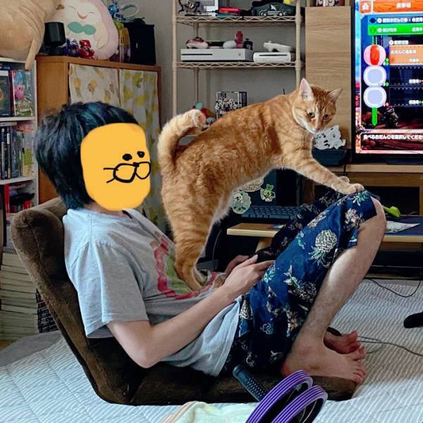 自宅でゲームをする夫の目の前に？　シュールな光景に「ほほ笑ましい！」