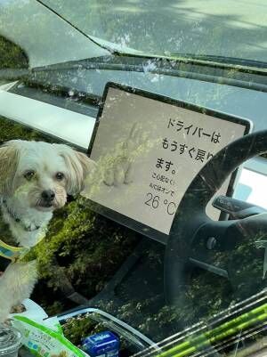 愛犬を置いて車を離れるのは心配…　『エアコンを適温に保つ方法』を行った飼い主に、称賛の声！