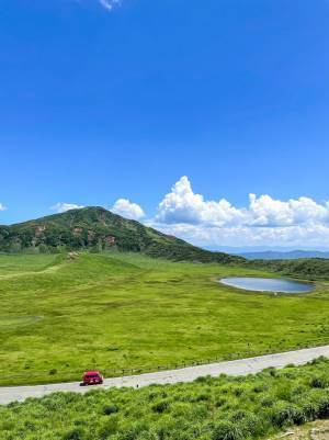 ありがとうございます…！　郵便局の車が走行していた場所に「まさか」