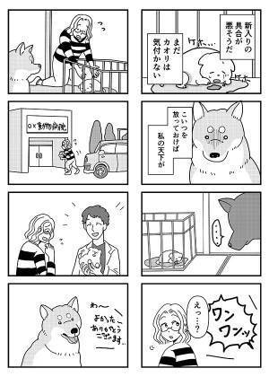『新入り』が気に食わない先住犬　展開に「最後まで読んで泣いた」「外で見ちゃダメ」