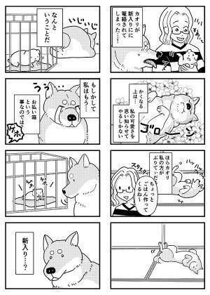 『新入り』が気に食わない先住犬　展開に「最後まで読んで泣いた」「外で見ちゃダメ」