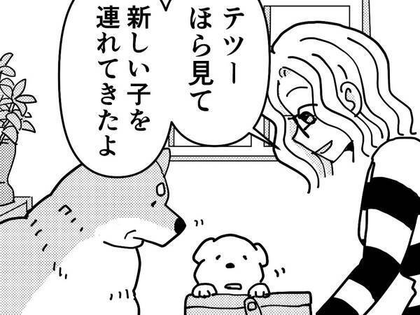 『新入り』が気に食わない先住犬　展開に「最後まで読んで泣いた」「外で見ちゃダメ」