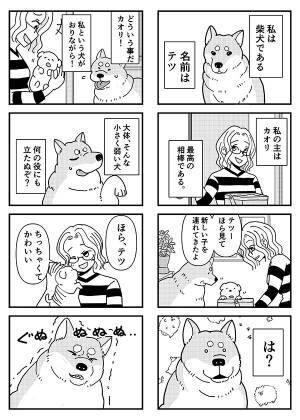 新入り が気に食わない先住犬 展開に 最後まで読んで泣いた 外で見ちゃダメ 22年7月13日 ウーマンエキサイト 1 2 新入り が気に食わない先住犬 展開に 最後まで読んで泣いた 外で見ちゃダメ 22年7月13日 ウーマンエキサイト 1 2
