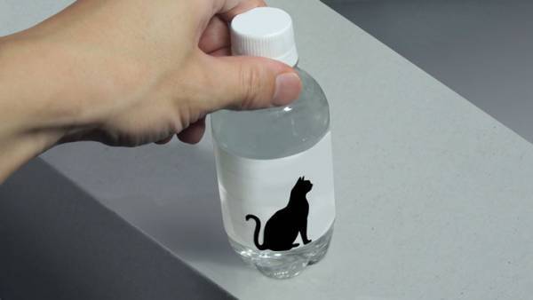 ぜひ商品化してほしい…！　結露が嫌にならない『ボトル』に反響　「めっちゃかわいい」「天才か」