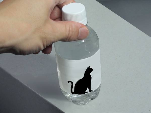 ぜひ商品化してほしい…！　結露が嫌にならない『ボトル』に反響　「めっちゃかわいい」「天才か」