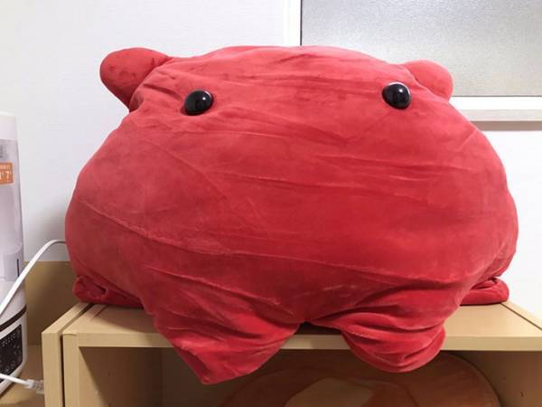 息子が抱えていった『特大ぬいぐるみ』に、幼稚園の先生も困惑！