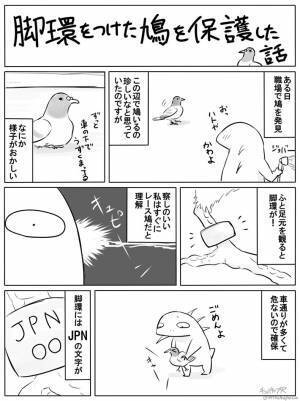 車の下に避難してうずくまるハトを発見　『あること』を察したら？
