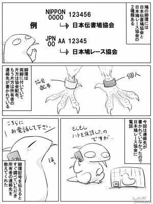 車の下に避難してうずくまるハトを発見　『あること』を察したら？