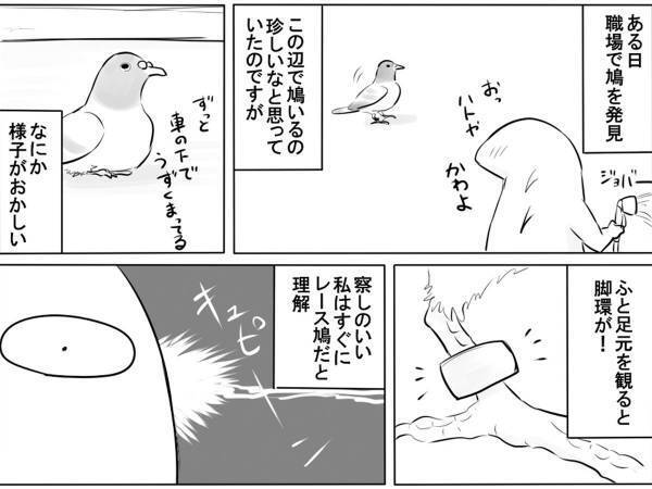 車の下に避難してうずくまるハトを発見　『あること』を察したら？