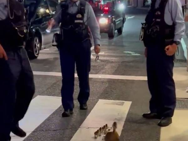 通行人から「かわいい！」　警察官と歩く『観光客』に視線が釘付け